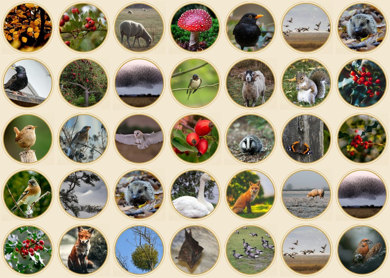 A sample of the photographs from the daily pages